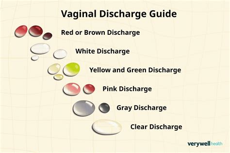Normal Vaginal Discharge 的图像结果