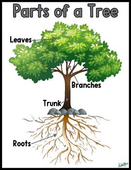Image result for Tree Structure HTML/CSS
