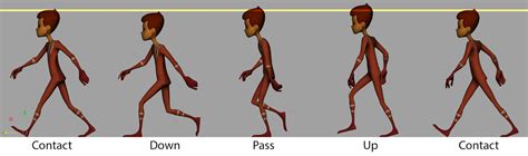 Animation Walk Cycle Reference 的图像结果