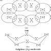 Dot structure and octet configuration of sulphur , ethane.. - Brainly.in