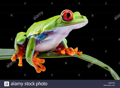 Image result for New Line JavaScript