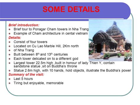 伝統的な芸術野生動物春の花は毛布フリース毛布ぬいぐるみ毛布145x200 cmを投げる 【通販