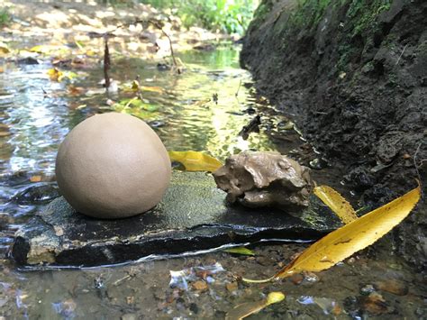 How to Find Diamonds Using River Clay 的图像结果