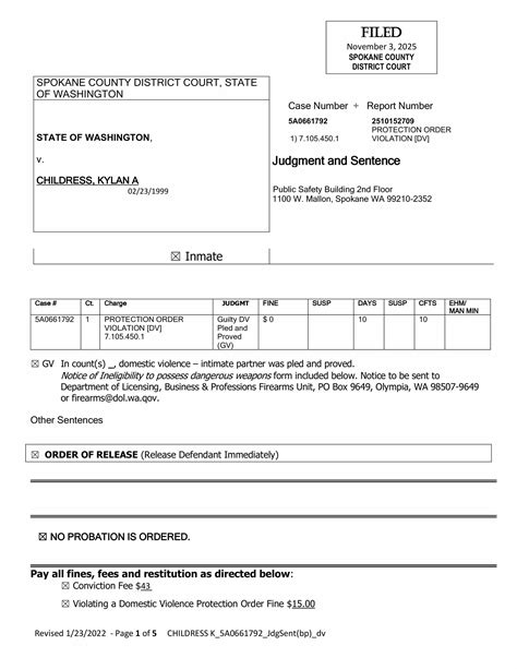 Spokane County Court Viewer