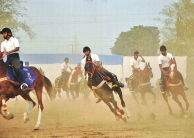 Bhonsala Military School, Nagpur: