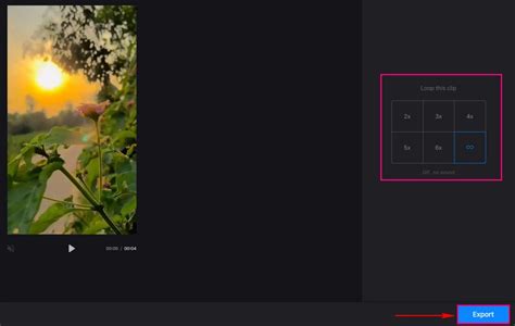 Image result for How to Loop Video On Computer