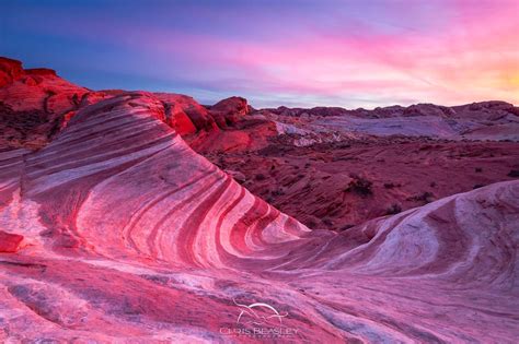 “fire wave” at Valley of Fire State Park | Valley of fire state park, Valley of fire, State parks - wildlife in valley of fire state park