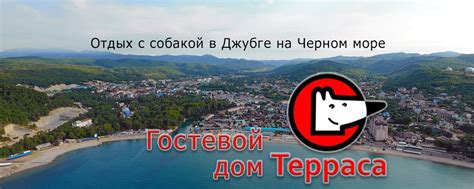Отдых на море с собакой | Приглашаем отдохнуть на Черном море с собакой ...