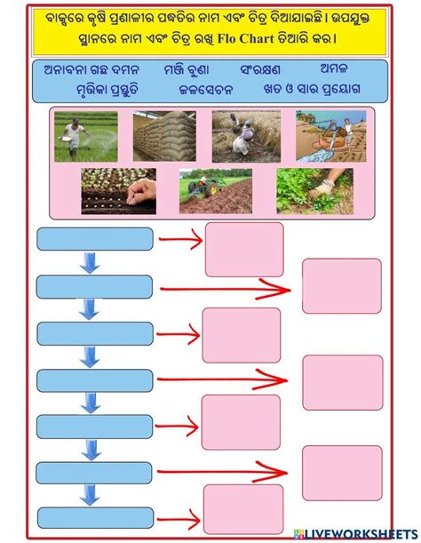 8th Standard Science 1st Lesson Exercise 的图像结果