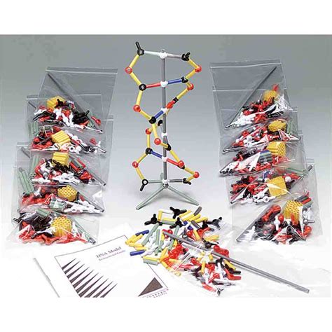 DNA Model Kit 的图像结果