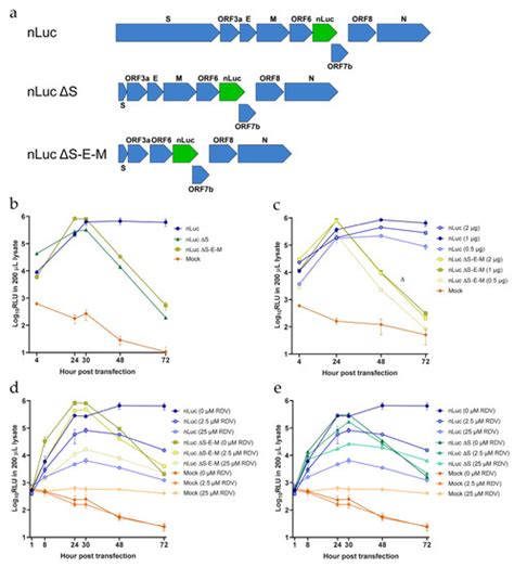 Versatile SARS-CoV-2 Reverse-Genetics Systems for the Study of ...