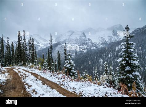 Building a Logging Road 的图像结果