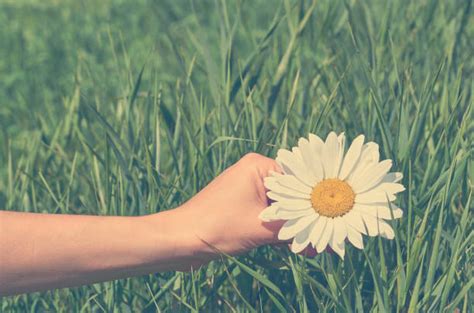 Image result for Java Spring Creators