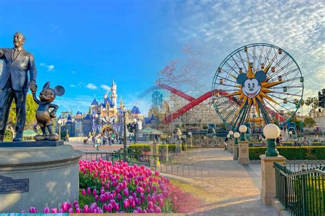 What Is the Difference Between Disneyland and Disney World: Disney ...