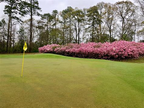 NATCHEZ GOLF CLUB | Natchezgolfclub
