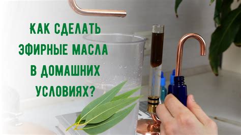Как сделать эфирное масло в домашних условиях - дистилляция эфирного ...