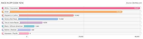 Image result for Area Code 11214