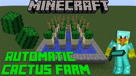 Image result for How to Make a Cactus XP Farm Java