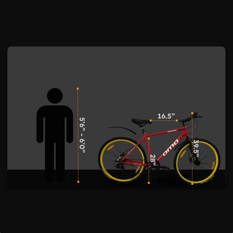 Hampi Pro, Hybrid Bike,