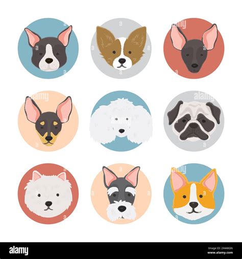 Illustration of dogs collection Stock Photo - Alamy