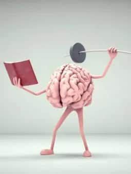 Education News Web Stories - Education News Visual Stories on India.com