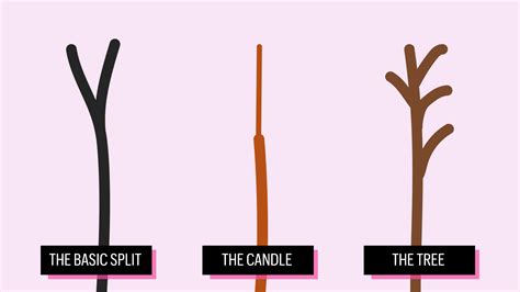 Image result for Split-Ends Explained