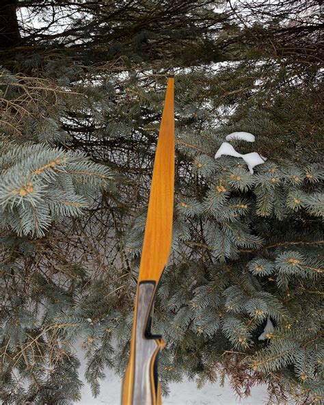 Java Man Bows 的图像结果