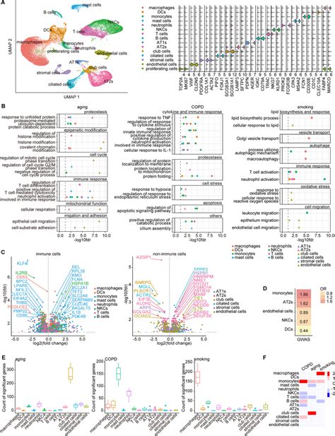 Image result for Cell Type Gene Expression
