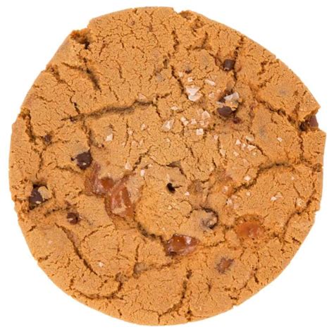 T-Rex Cookie | Nationally Recognized 1/2lb & 5lb Cookies