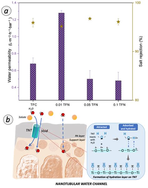 Enhanced Removal of Endocrine-Disrupting Compounds from Wastewater ...