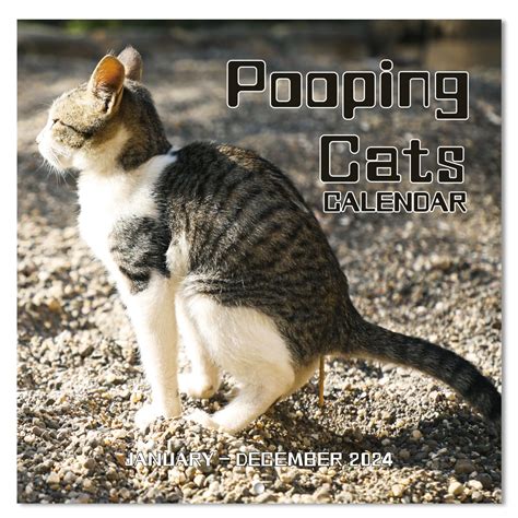 Pooping Cats Calendar 2024 - Funny Calendar 2024 uk, From January to ...