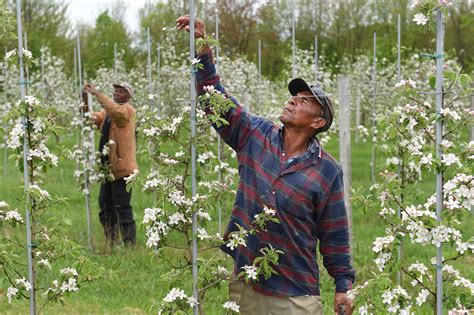NY farmers sue to block law that gives workers overtime, right to ...