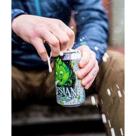 Elysian Brewing Company Elysian Space Dust IPA Beer - 6pk/12 fl oz ...