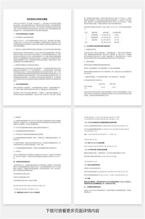 项目投资分析报告模板word文档下载_风云办公