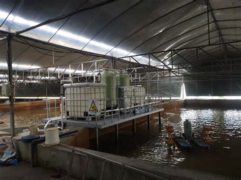 工厂化养殖循环水项目 - 中水回用-工程案例 - 泰州绿禾环保科技有限公司