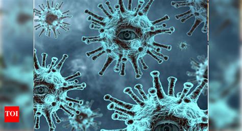 Covid death rate goes up from 1.1% to 1.3% in Chandigarh | Chandigarh ...