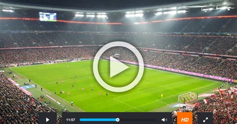 Image result for Wolves Live Stream