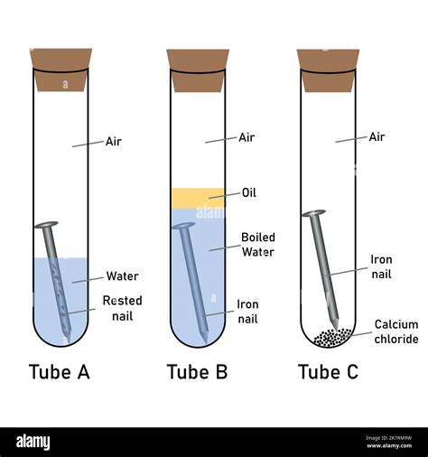 Rusting of iron nail experiment diagram. Investigating the conditions under which iron rusts ...