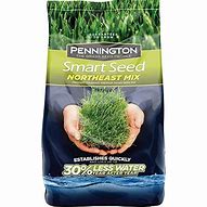 Image result for Pennington Grass Seed Northeast Mix