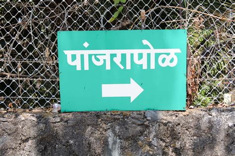 Panjrapole | Jeevdaya Dham