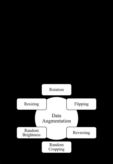 Dataset Preparation Python 的图像结果