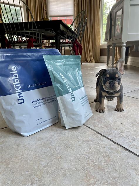 Is Spot & Tango’s UnKibble really better than traditional kibble?