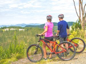 Waitangi Mountain Bike Park | Northland & Bay of Islands, New Zealand