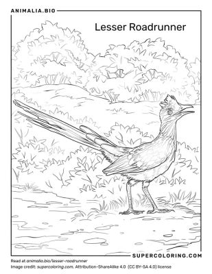 Lesser Road Runner Distribution Map 的图像结果