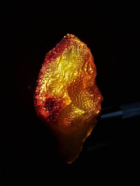 Amber Module Review 的图像结果