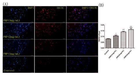 Polysaccharides Extracted from Rhizoma Pleionis Have Antitumor ...