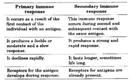 Primary immune response and Secondary immune response.