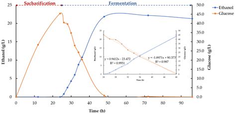 Energy Assessment of Second-Generation (2G) Bioethanol Production from ...