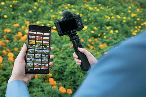 Canon PowerShot Camera 的图像结果