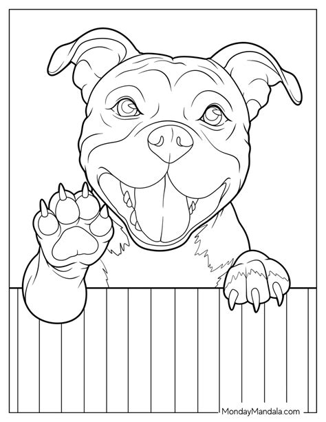 20 Pitbull Coloring Pages (Free PDF Printables)